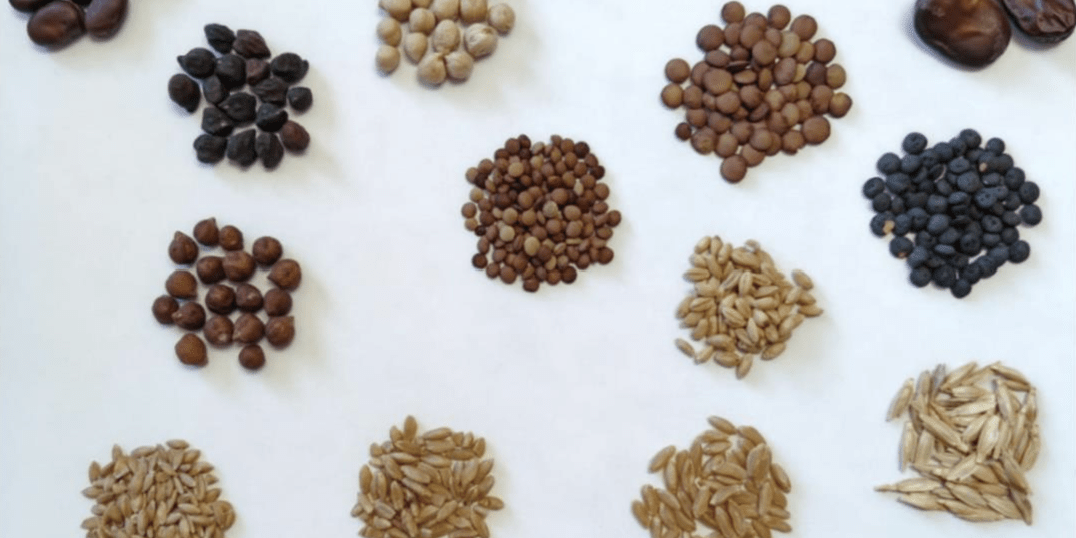 Semi di Sicilia e del Mediterraneo: biodiversità, memoria e futuro dell’agricoltura