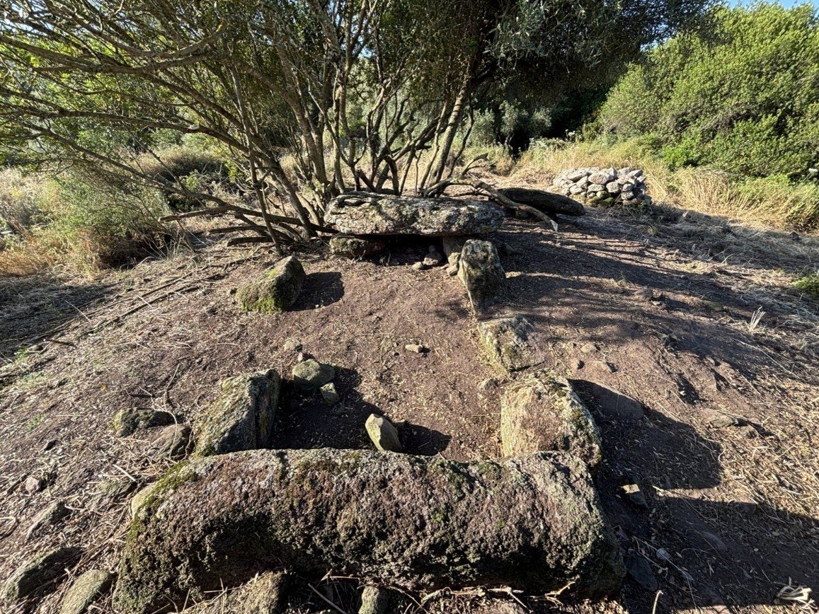 La scienza in diretta 2026. Scavi archeologici aperti a Perfugas