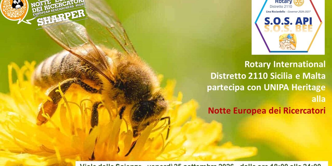 SOS API – Il battito d’ali che regge il mondo