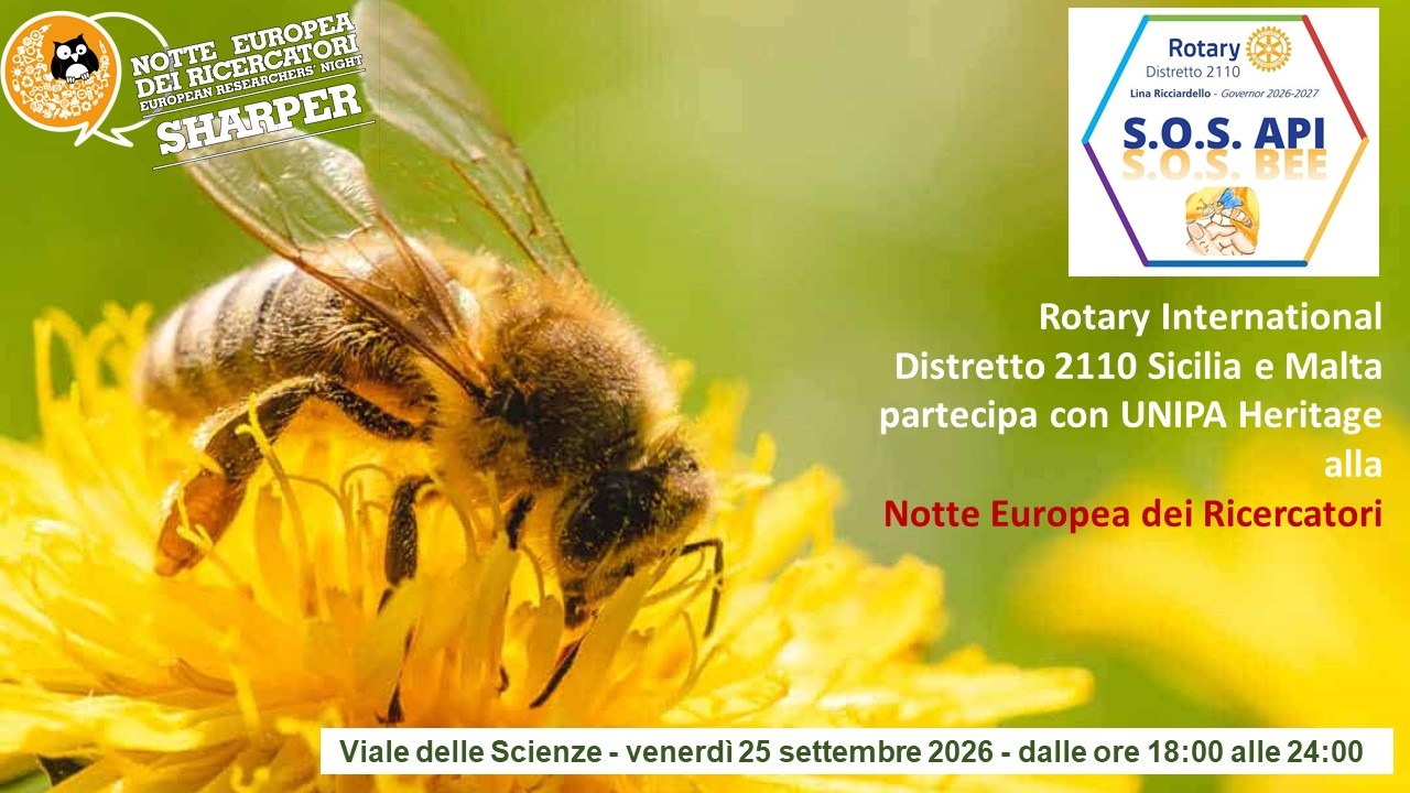 SOS API – Il battito d’ali che regge il mondo