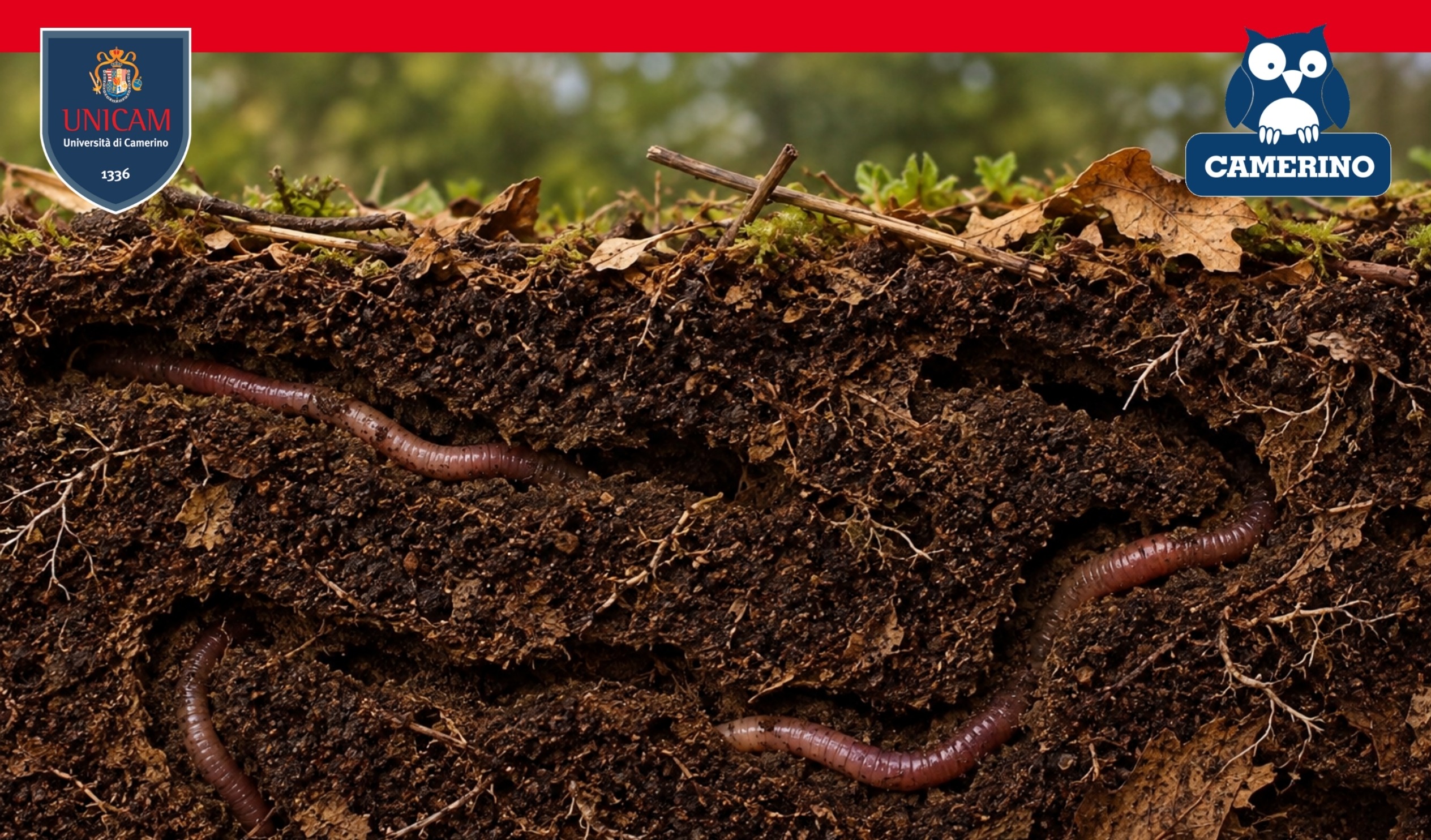 Wire Loop – Earthworm Game