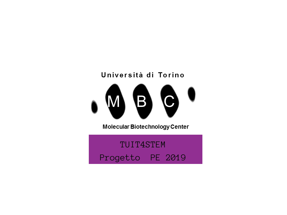 Centro Interdipartimentale di Ricerca per le Biotecnologie Molecolari - MBC