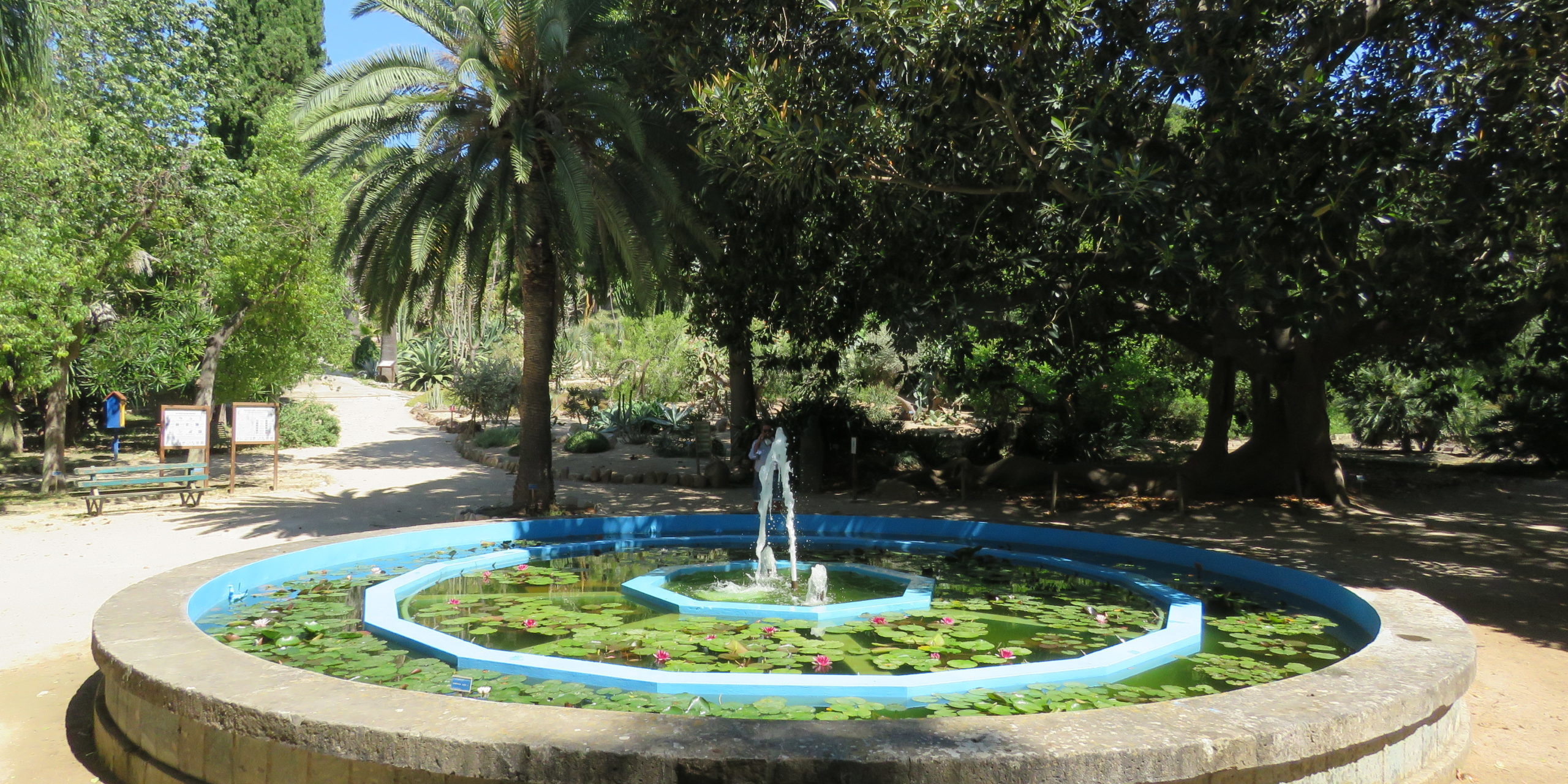 Orto Botanico di Cagliari HBK – Hortus Botanicus Karalitanus